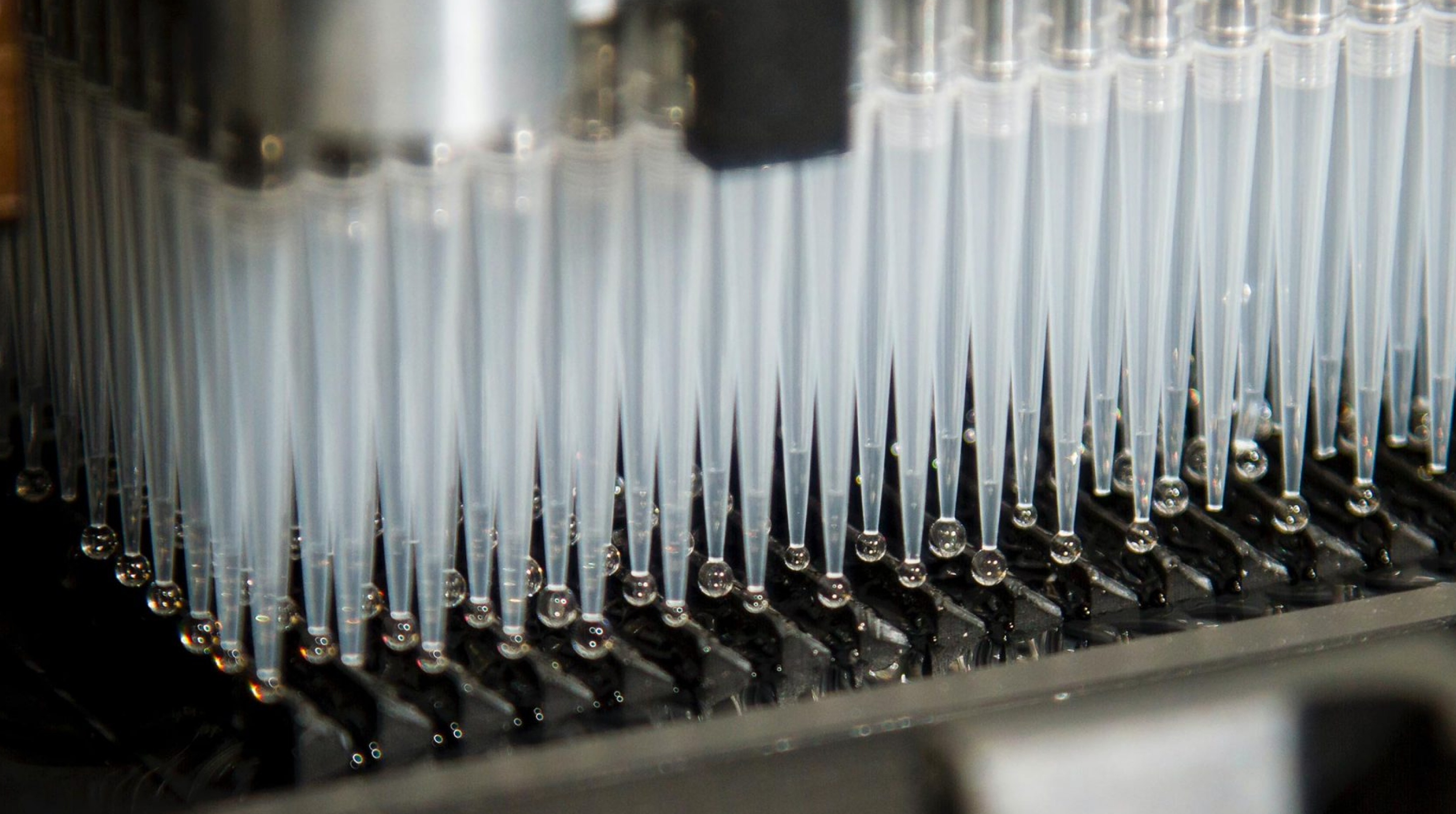 Blog - ICGA (Indian Cancer Genome Atlas): What Oncology Researchers, Scientists, Clinicians And Policymakers Need To Know