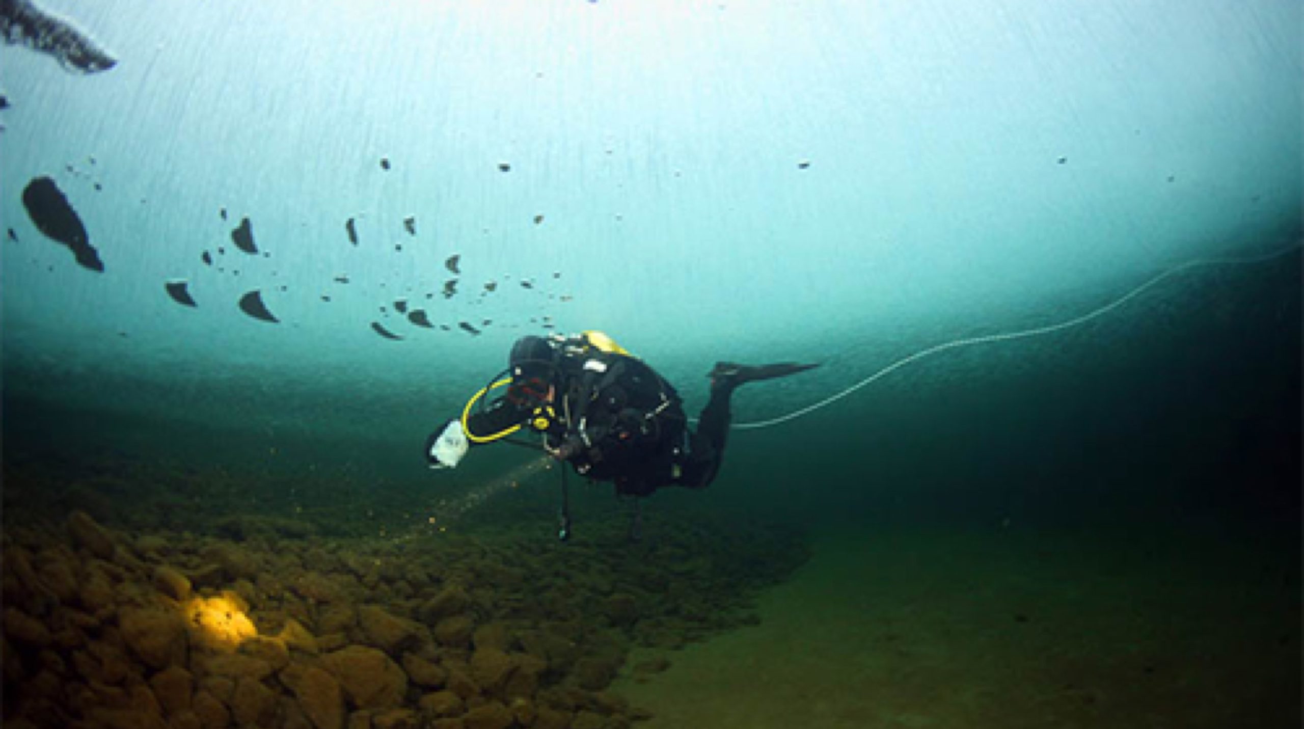 blog-banner-Data-Exploration-finding-the-treasure-in-the-Data-Lake
