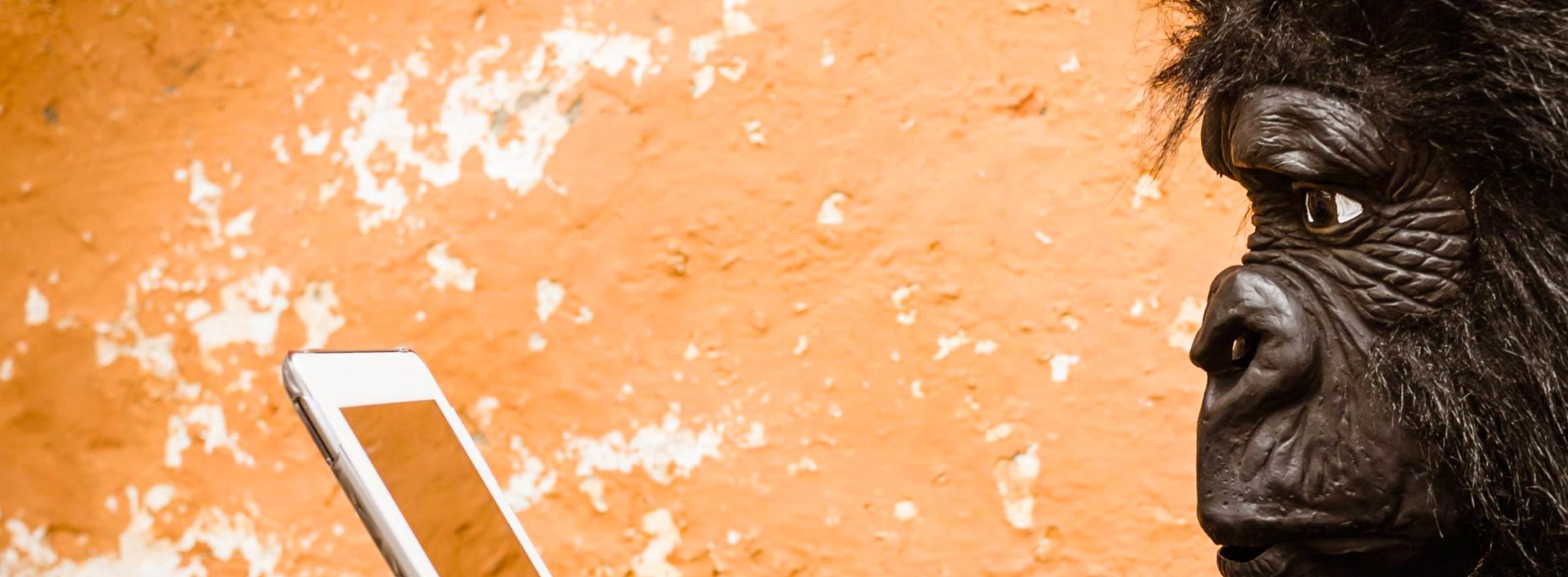 blog-banner-Learning-in-a-Digital-Dimension