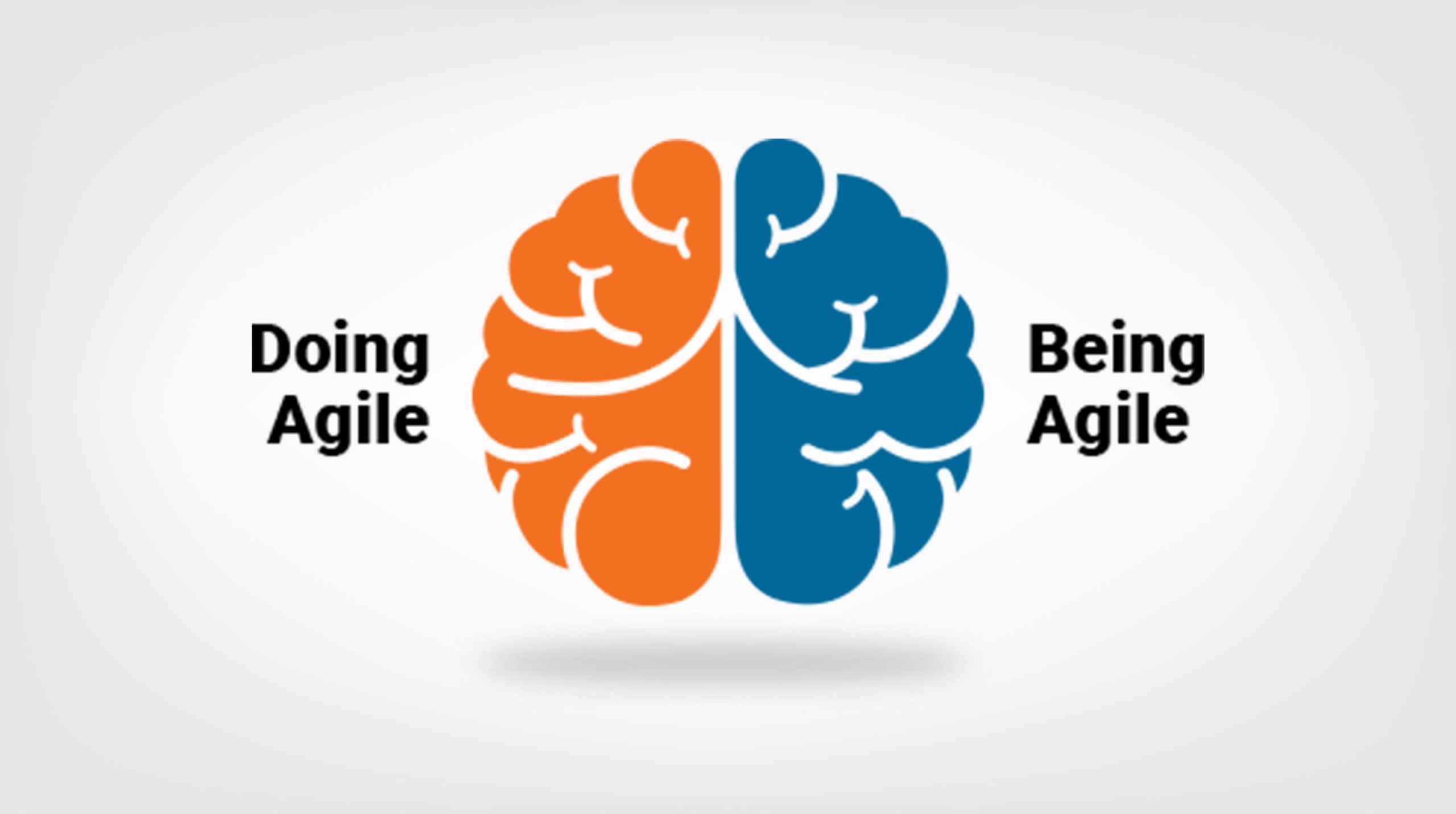 blog-banner-Stop-Doing-Agile-And-Start-being-Agile