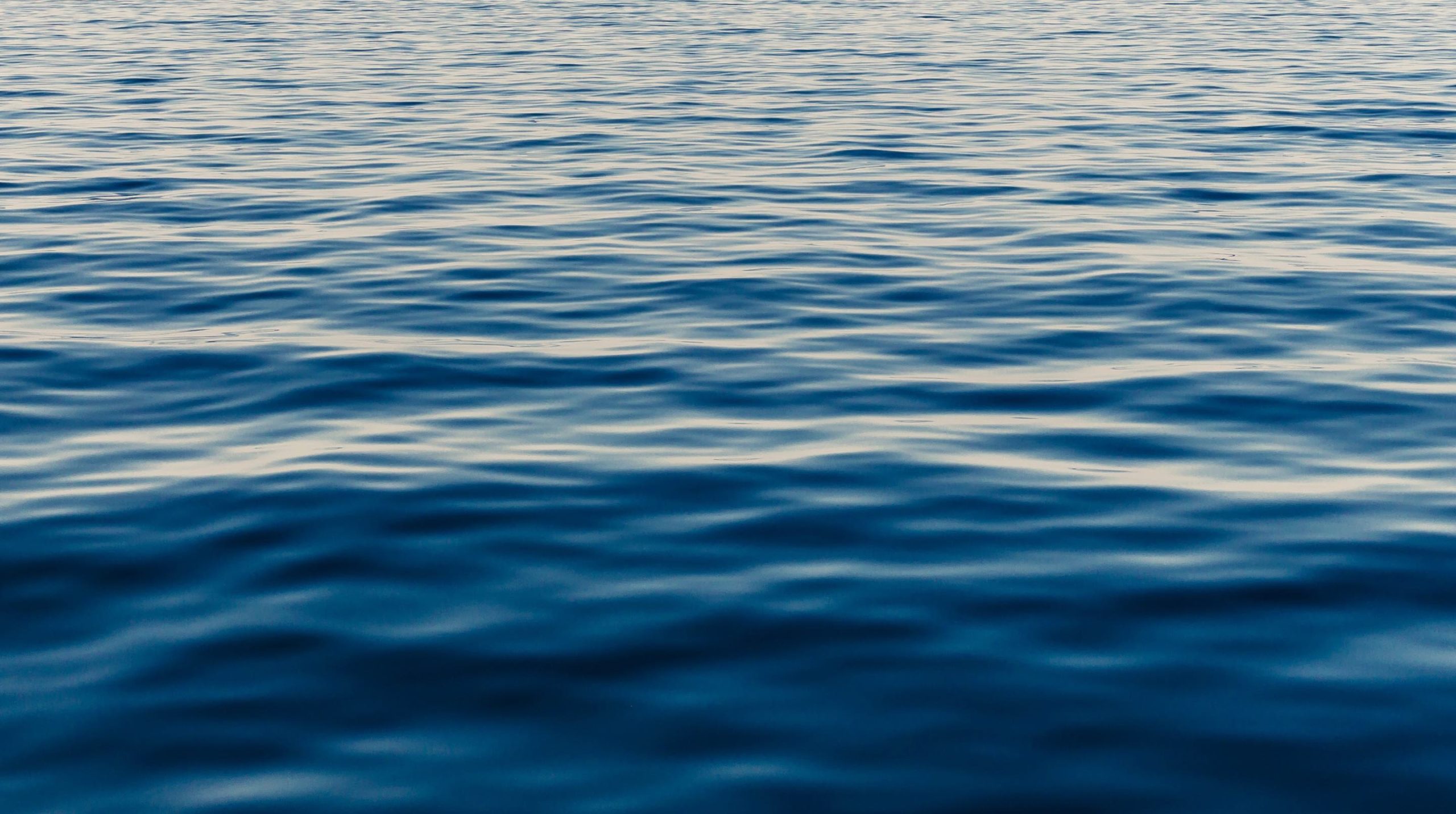 blog-banner-Data-Lake-Data-Warehouse-in-One-Box-using-Snowflake