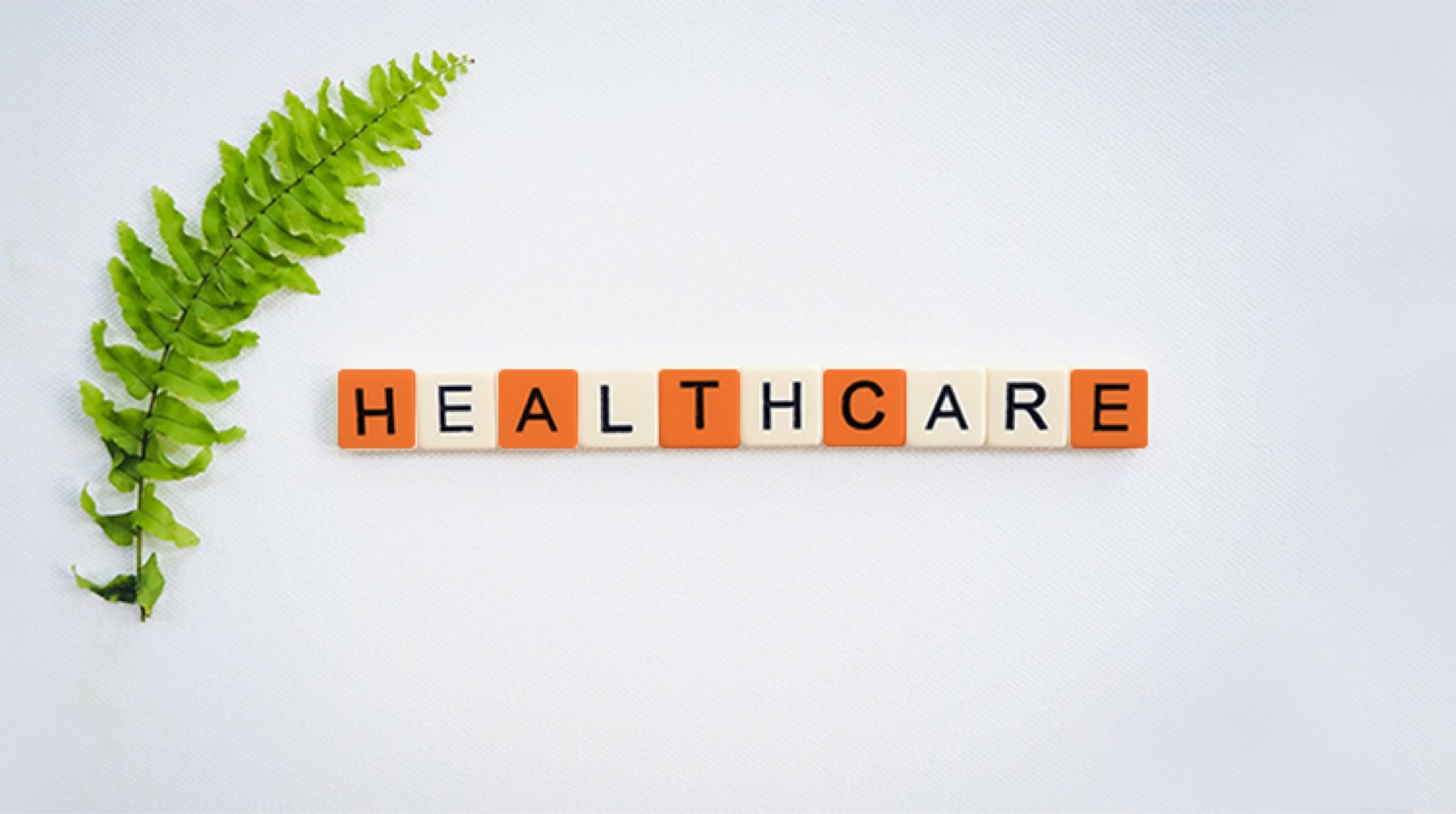 blog-banner-Building-Named-Entity-Recognition-Models-for-Healthcare