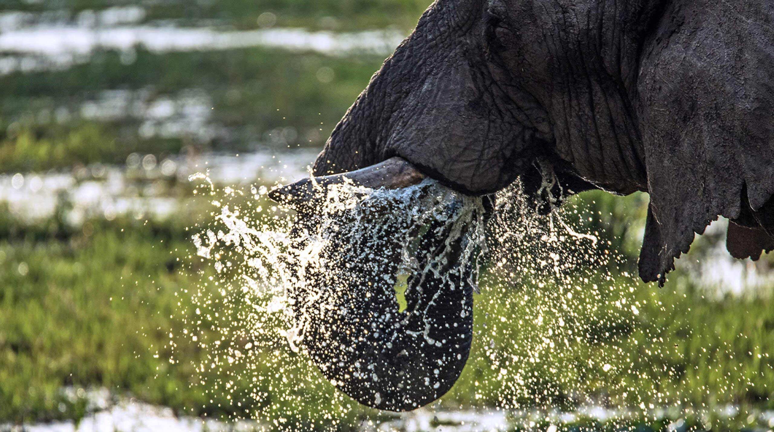 AWS IoT Enabled Smart Wildlife Drinking Water Station| Persistent Systems