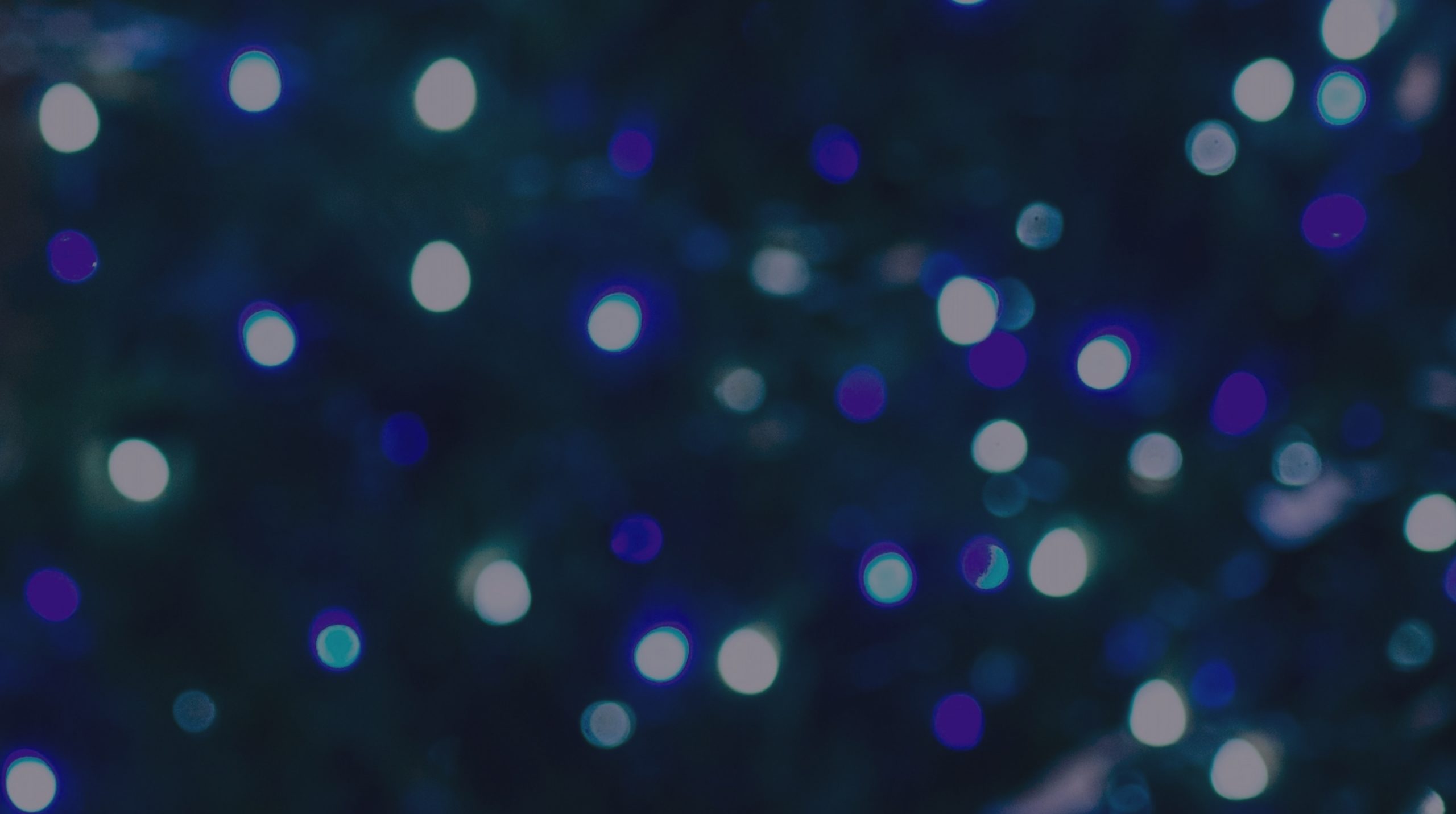 Persistent Newsletter December 2020