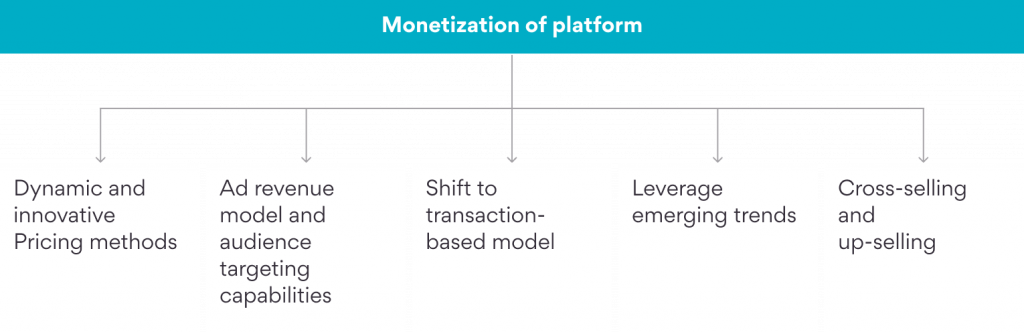 5 Ways to Successfully Monetize Your Software Platform