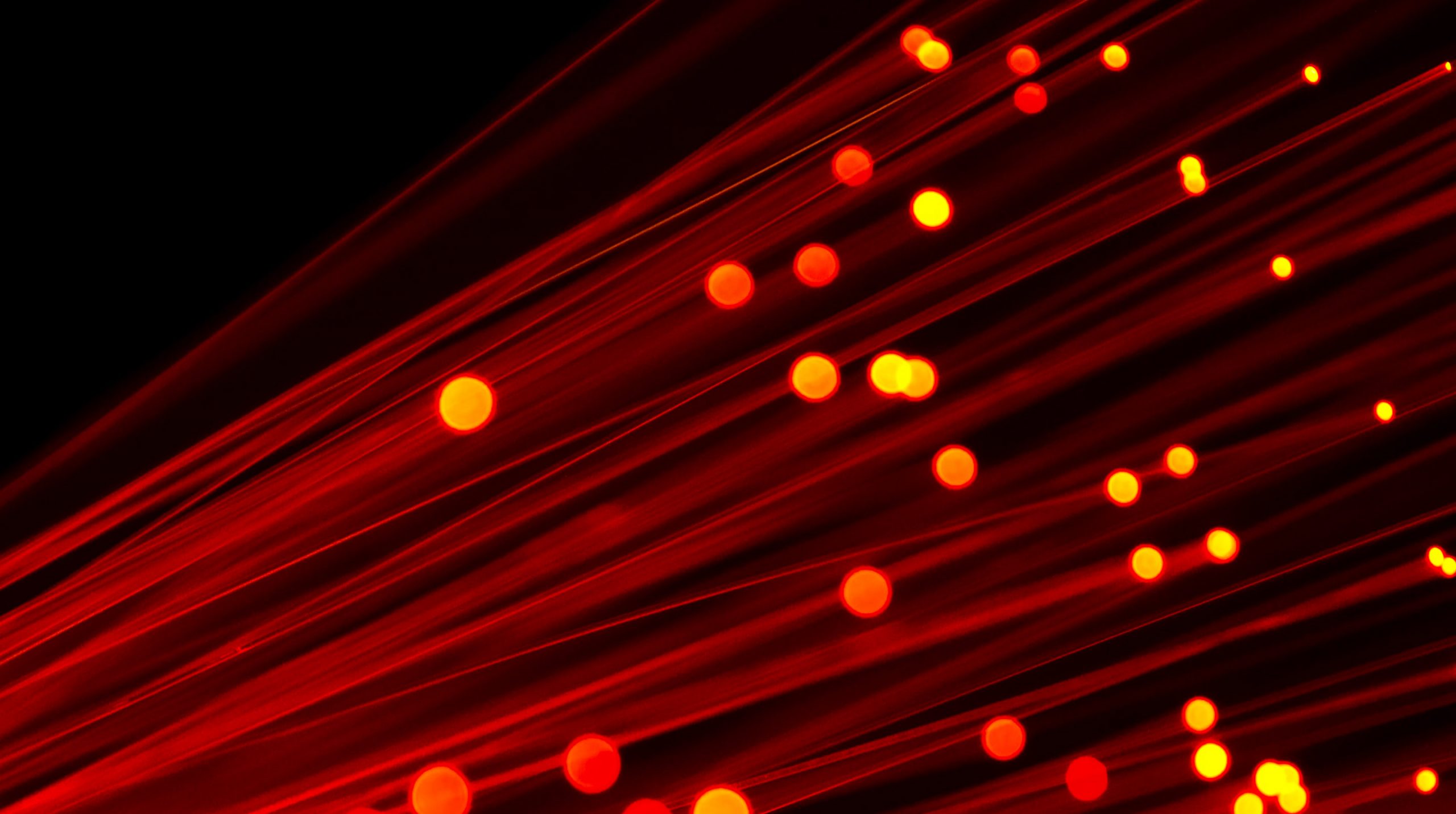 rapid connector development
