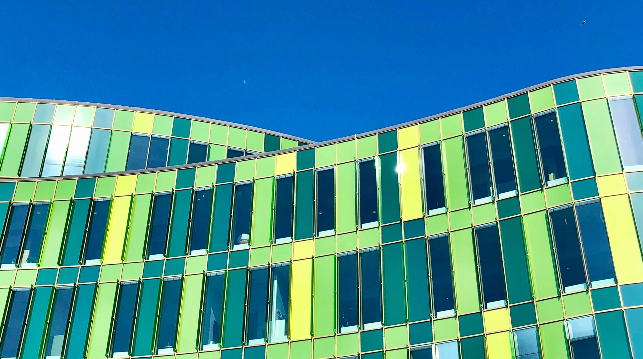 A leading bank gains a competitive edge with cloud-native application development and migration to Apigee