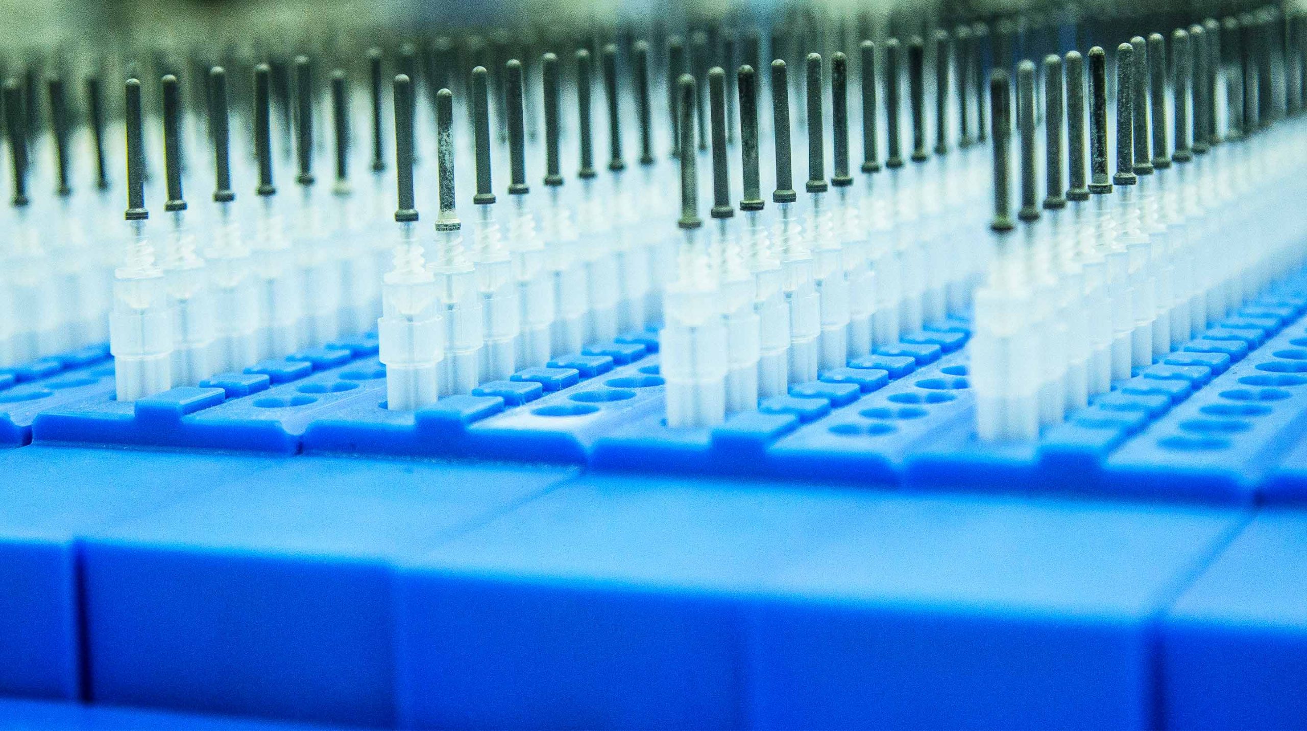 Persistent @ BioTechX USA