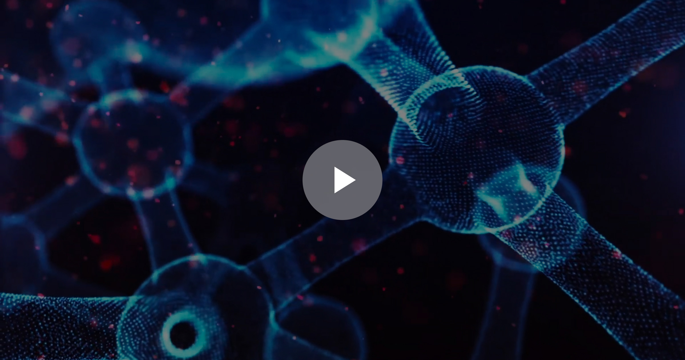 RenalytixAI – Development of Kidney Diagnostic Solutions with AI