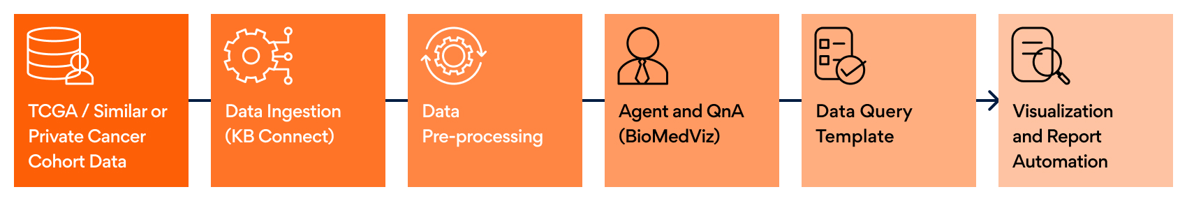 Fig. 1: BioMedViz Pipeline
