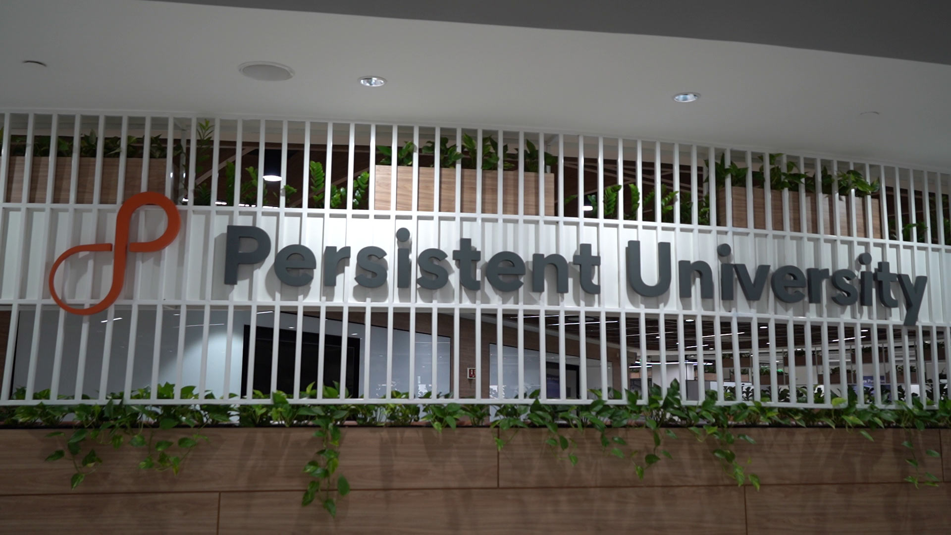 Persistent University