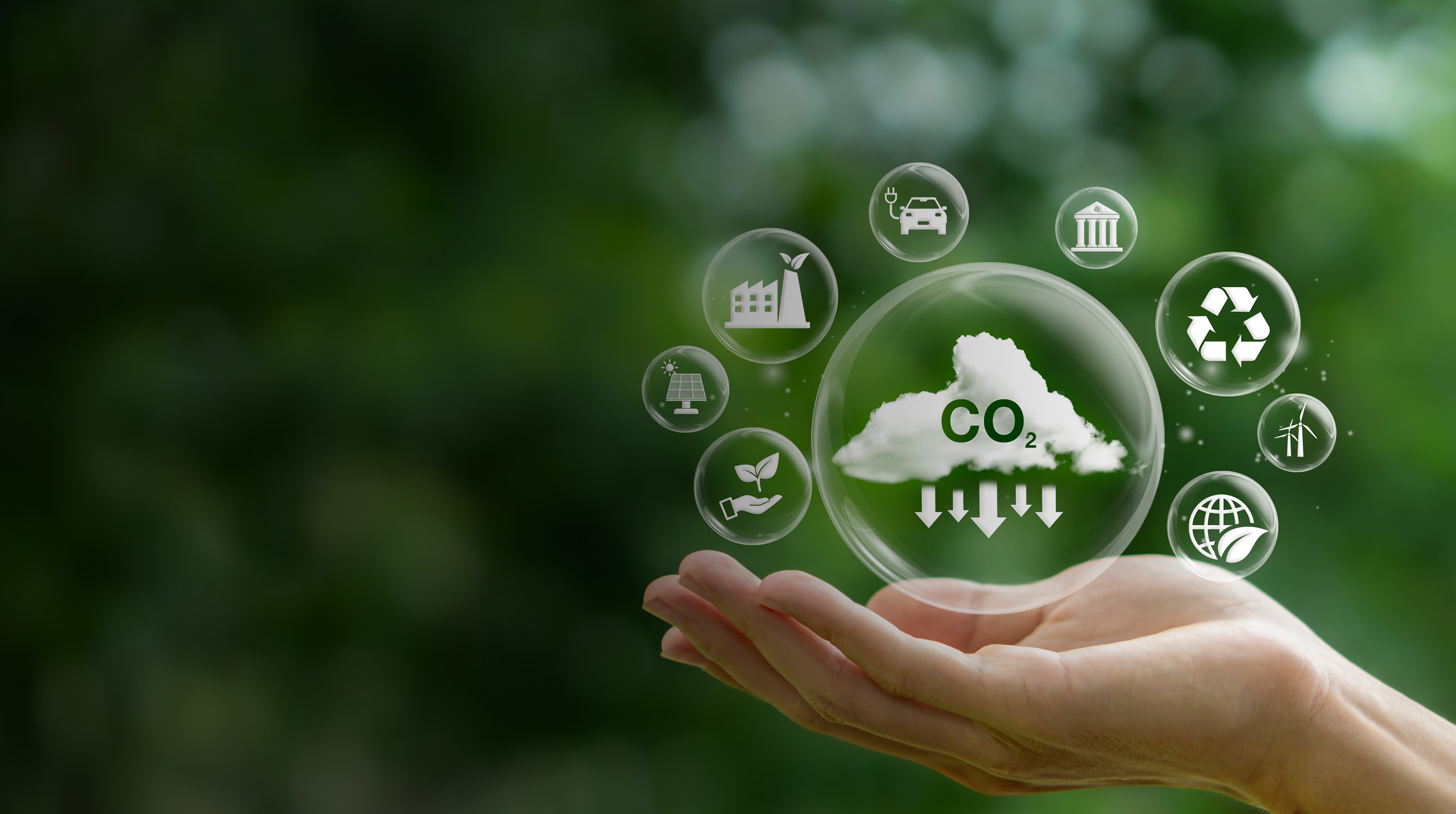 Carbon Neutrality at Persistent 2025