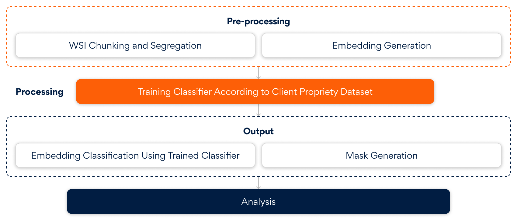 Bridging Biology and AI The Future of Computational Pathology with WSIs