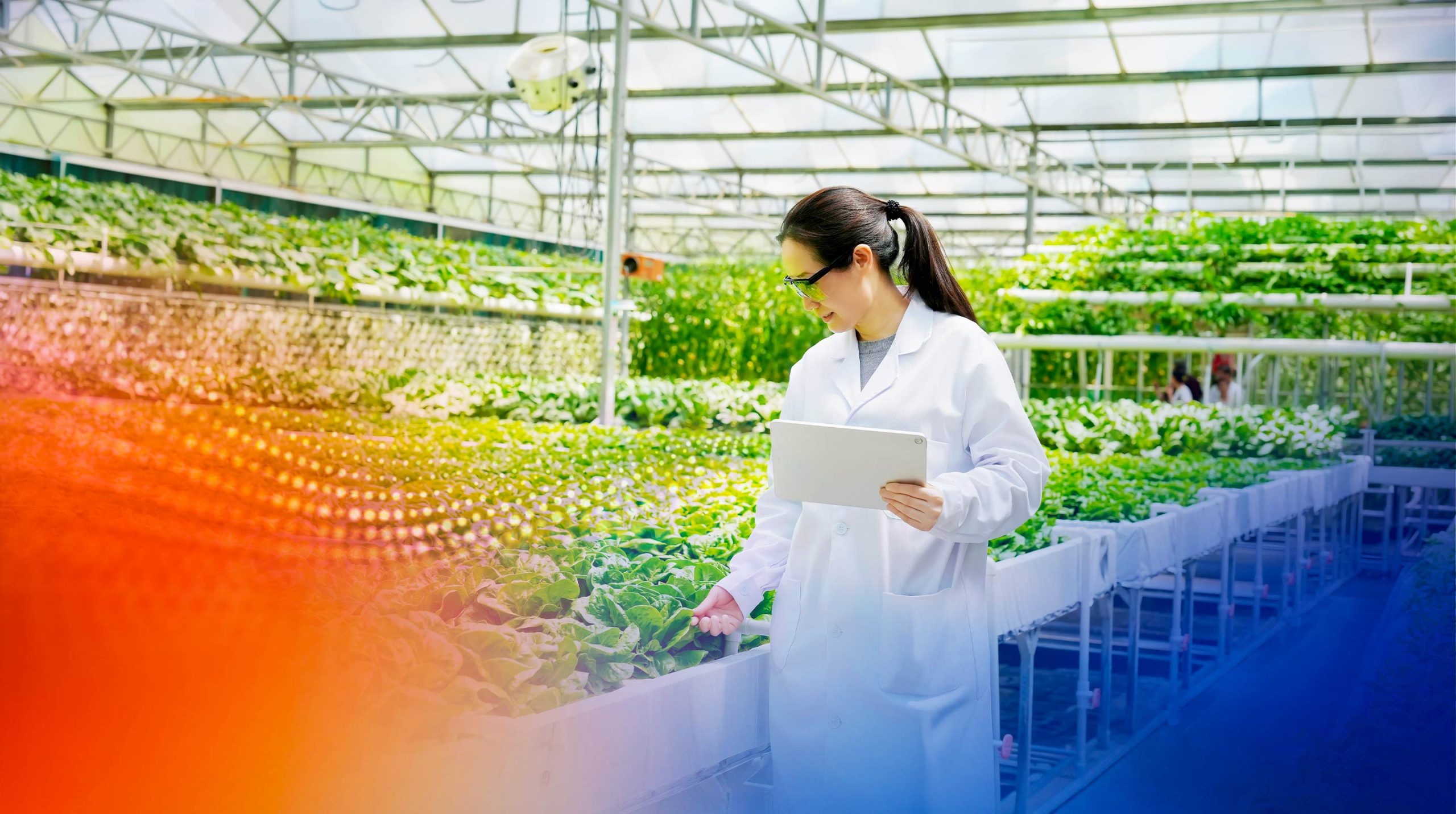Intelligent Automation for Agribusiness Case Study